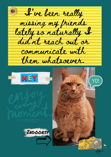 Greeting Card NEW! Cat-Indoorsy