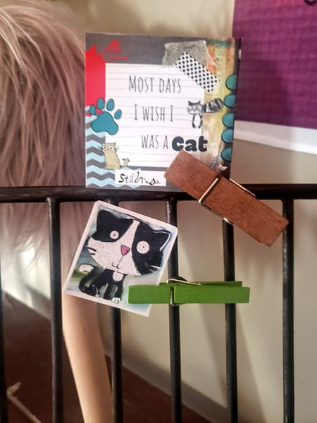 Mini Note Pack CATS